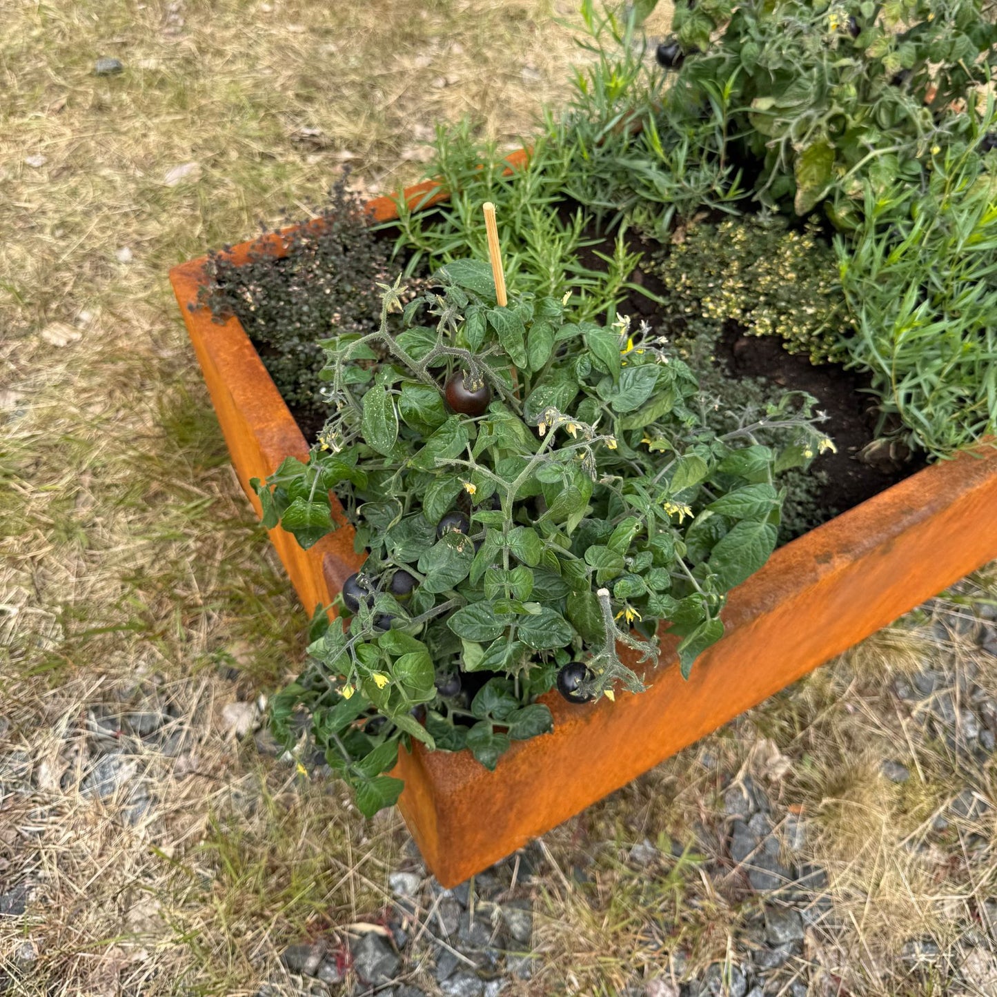 Kuru Kaarna Corten-teräs kukkaruukku