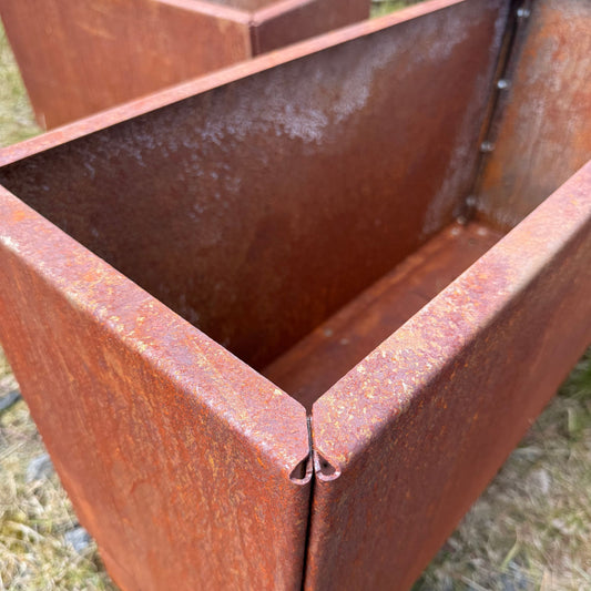 Suora istutusallas – korkeus 15 cm
