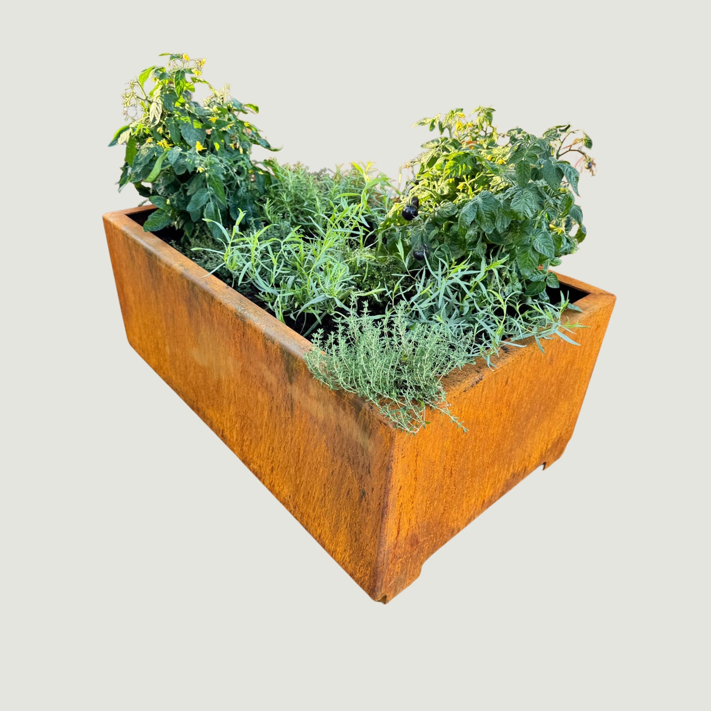 Kuru Kaarna Corten-teräs kukkaruukku