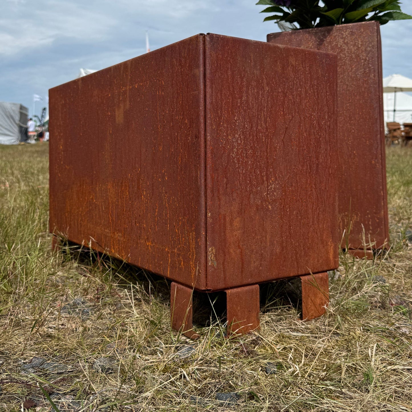 Suora istutusallas – korkeus 60 cm